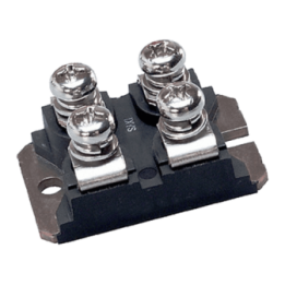 DSEI2x101-06A