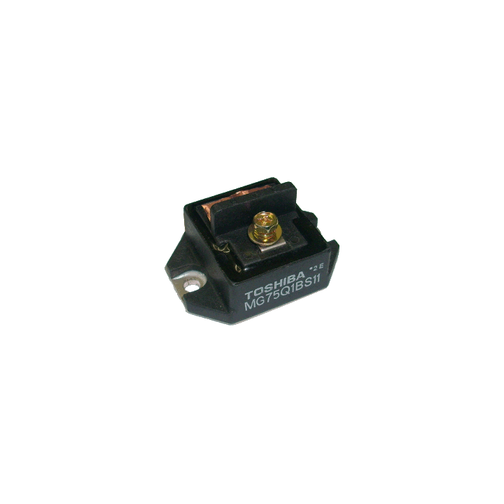 MG75Q1BS11
