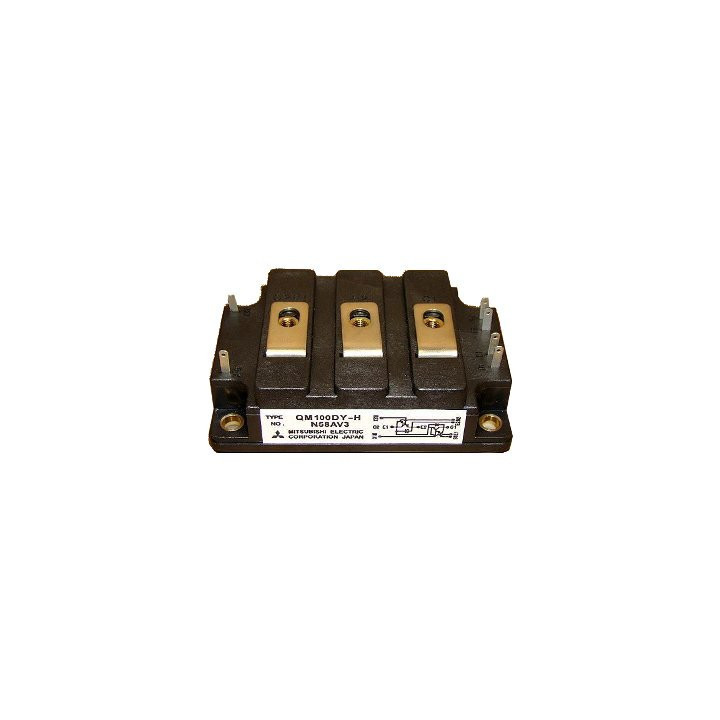 QM100DY-H