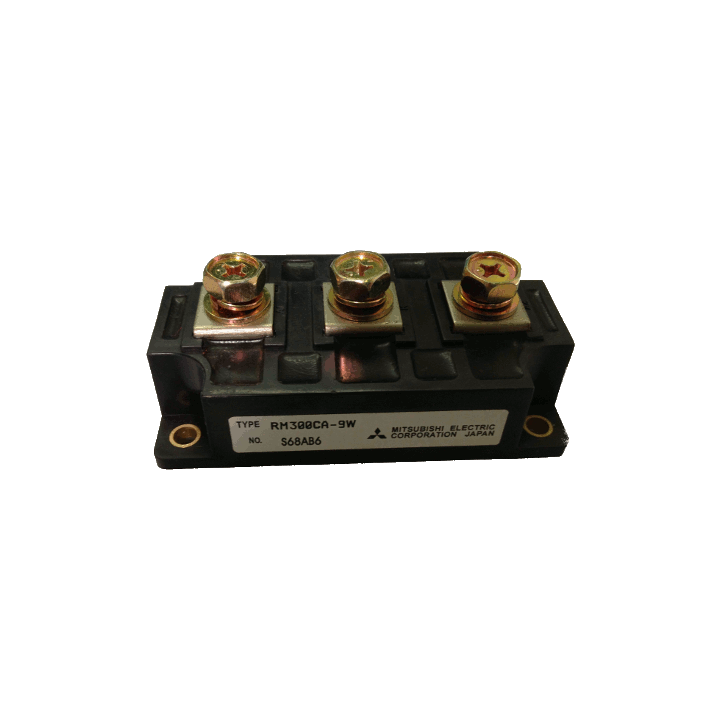 RM300CA-9W