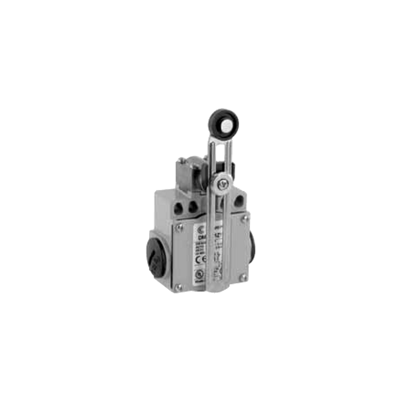 DM1F51Z11