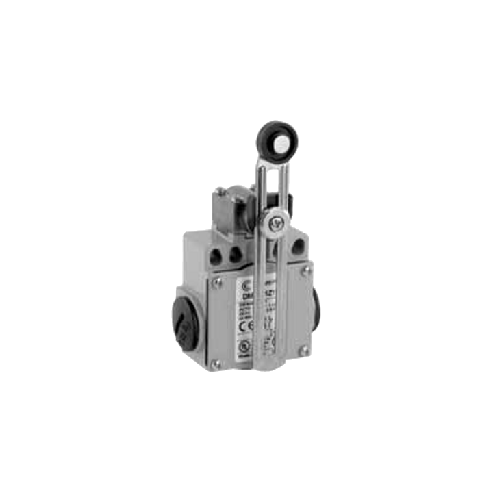 DM1F51Z11