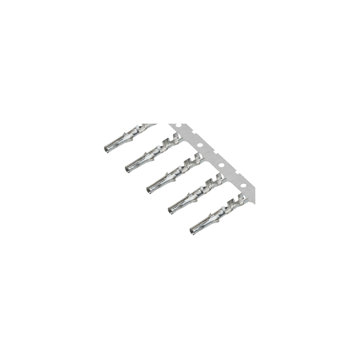 c1212ds