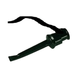 puntn