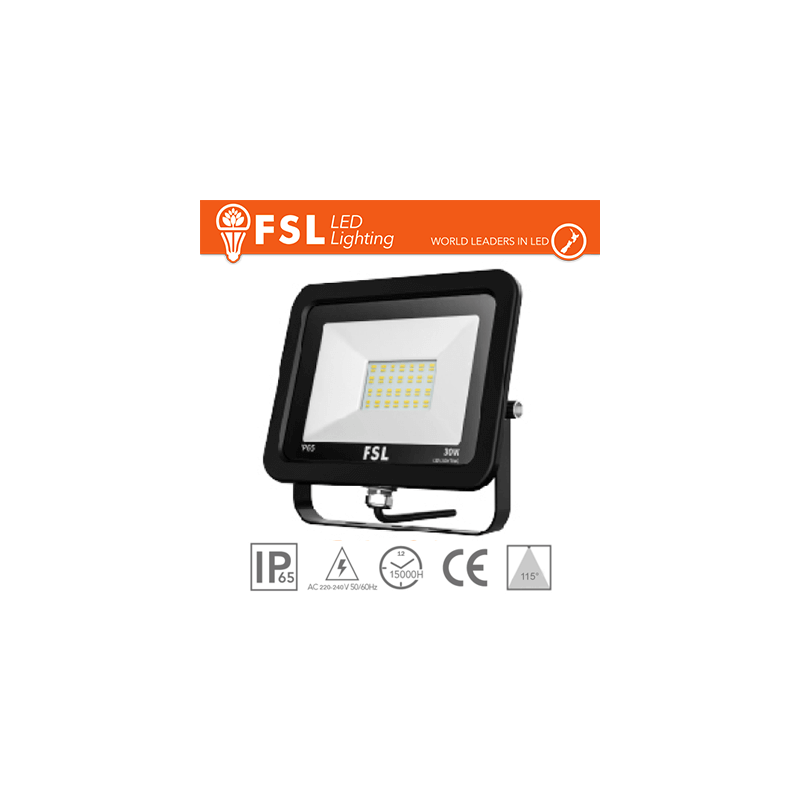 FLFSF809-10W40K