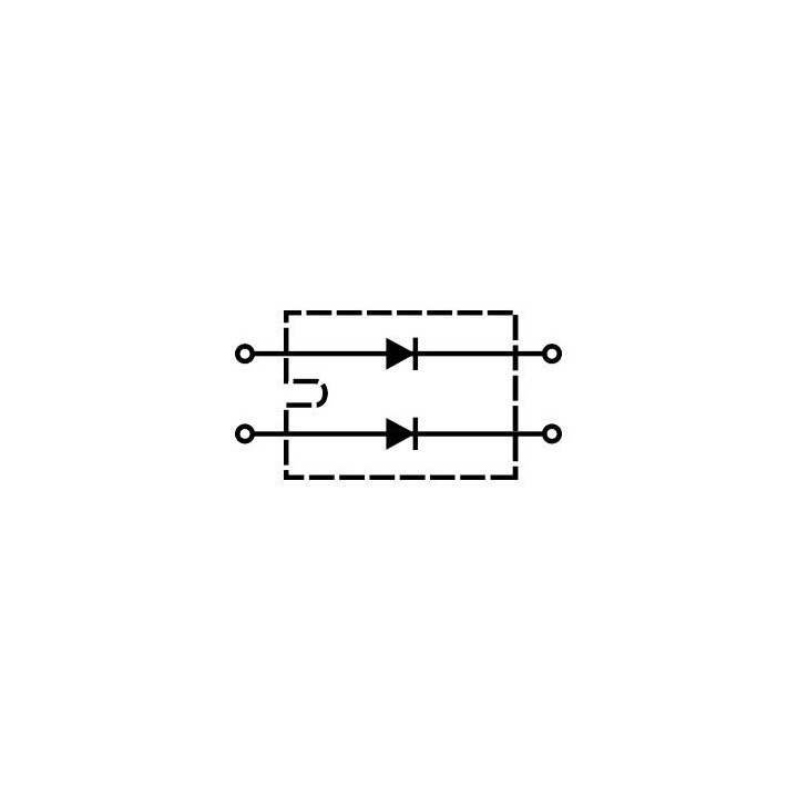 DSEI2x101-06A