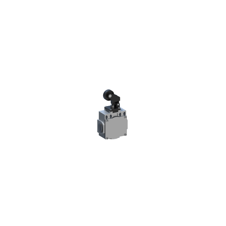 DM1T38Z11
