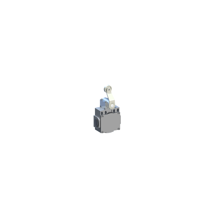 DM1F47Z11