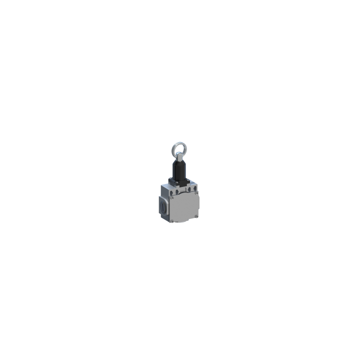 DM1T98Z11A