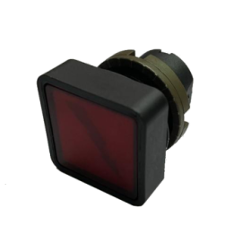 020LGBIRKS72