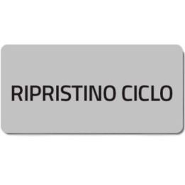 02017T