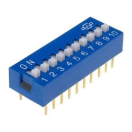DS-10