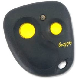 PROGET BUGGY