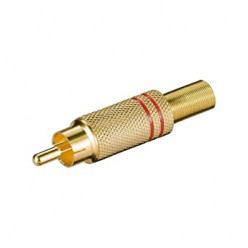 Spina RCA-MET-ORO