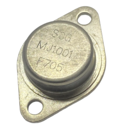 MJ1001