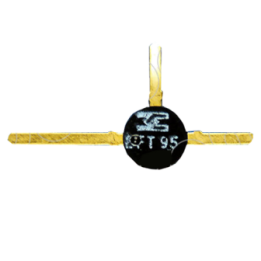 BFT95