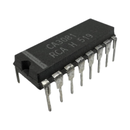 CA3081
