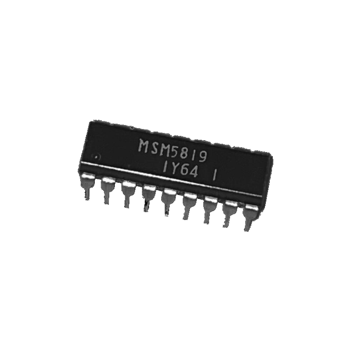 MSM5819