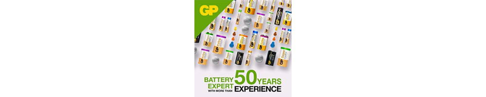 Batterie Alkaline e Litio