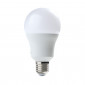 TF31-Bulbi Classici Led