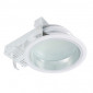 TE31-Downlight Mono lampada