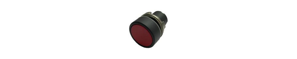 Pulsanti D22